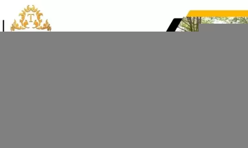 Bảng giá thuê xe limousine Sài Gòn – Vĩnh Hy chi tiết