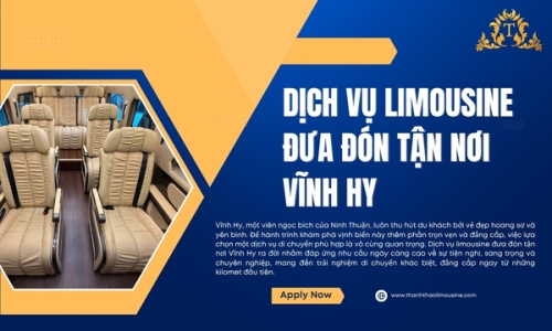 Dịch vụ Limousine đưa đón tận nơi Vĩnh Hy