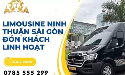 Limousine Ninh Thuận Sài Gòn đón khách linh hoạt