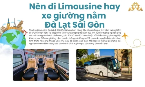 Nên đi Limousine hay xe giường nằm Đà Lạt Sài Gòn