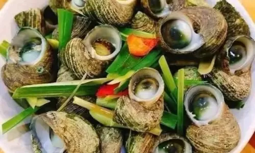 Ốc mặt trăng Vĩnh Hy