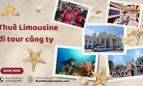 Thuê Limousine đi tour công ty