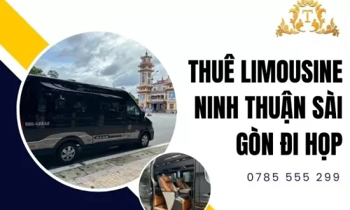 Thuê limousine Ninh Thuận Sài Gòn đi họp