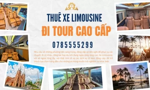 Thuê xe Limousine đi tour cao cấp