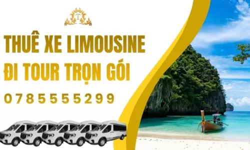 Thuê xe Limousine đi tour trọn gói