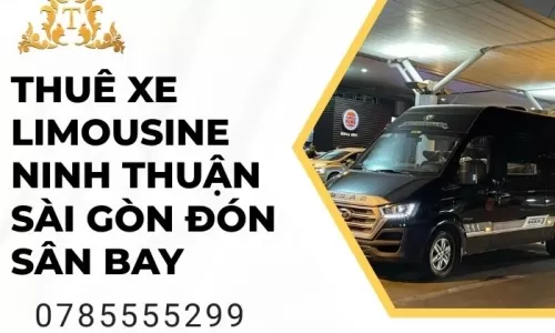 Thuê xe limousine Ninh Thuận Sài Gòn đón sân bay