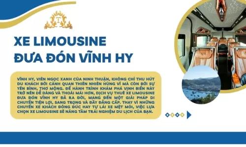 Xe Limousine đưa đón Vĩnh Hy