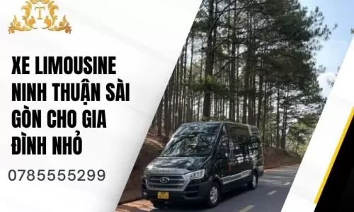 Xe limousine Ninh Thuận Sài Gòn cho gia đình nhỏ