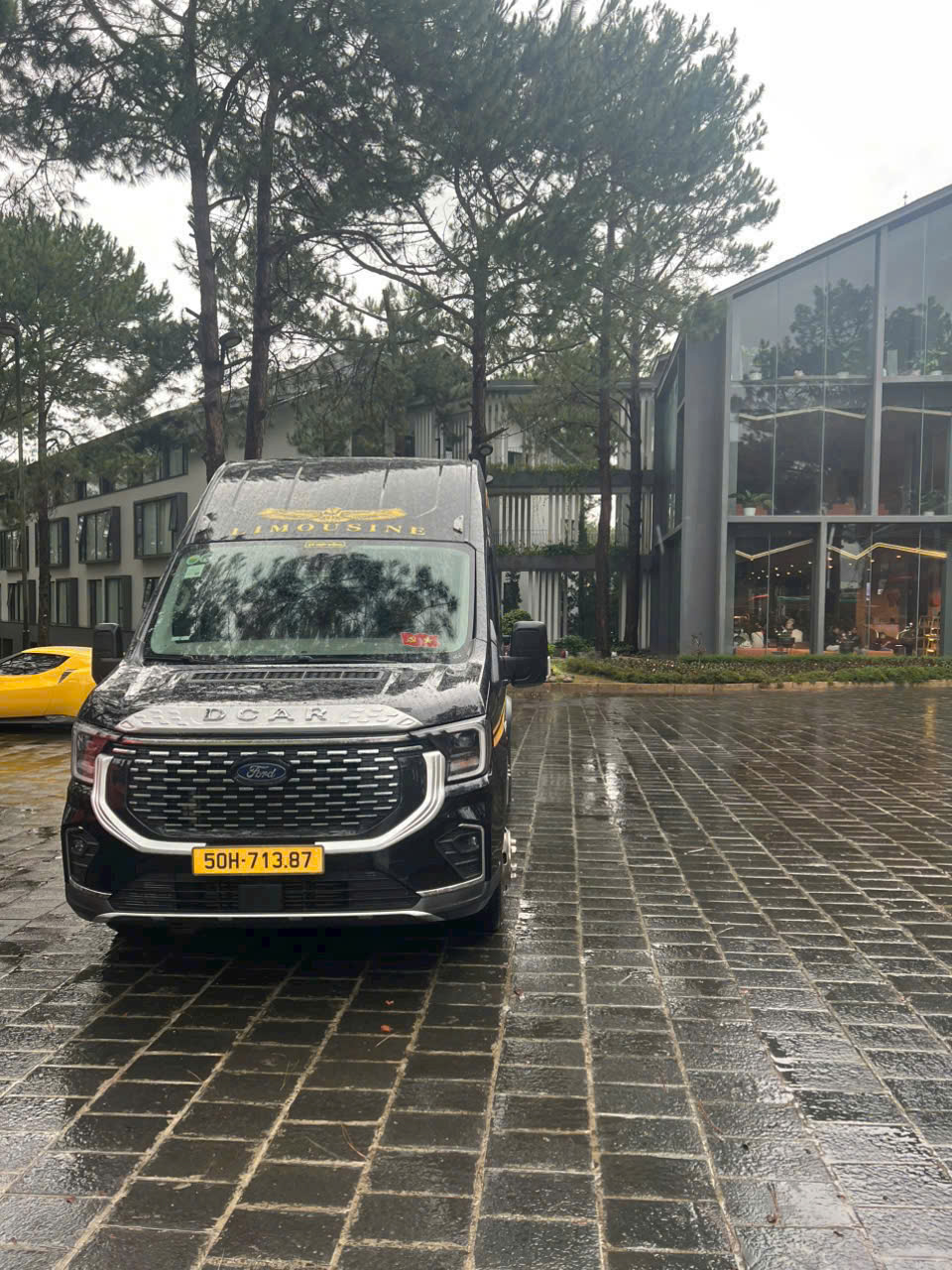 Xe Limousine 12 chỗ 