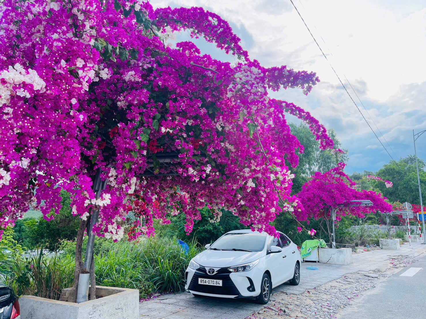 Thuê xe Du Lịch 4 chỗ Phan Rang