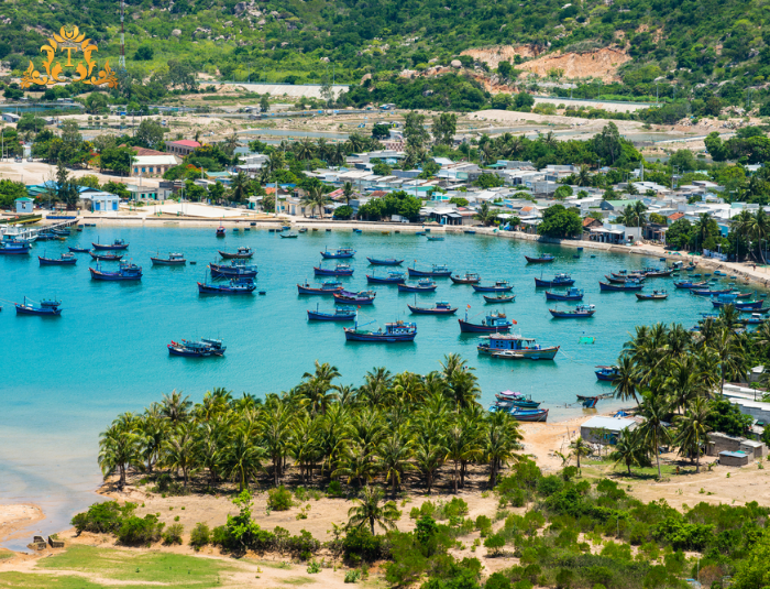 Kinh Nghiệm Đặt Xe Để Có Chuyến Đi Hoàn Hảo