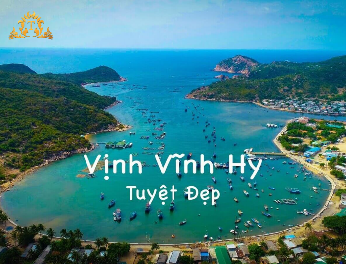 Vì Sao Thanh Thảo Limousine Là Lựa Chọn Khác Biệt?