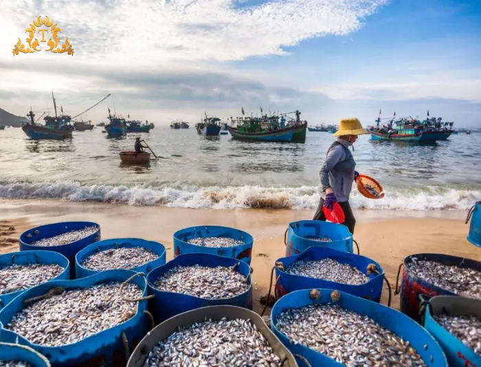 Hành Trình Sài Gòn – Vĩnh Hy Dưới Góc Nhìn Mới