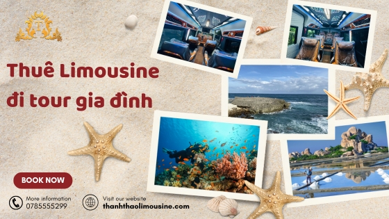 Thuê Limousine đi tour gia đình