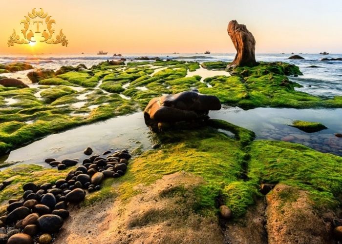 So sánh Bảng giá thuê xe limousine với các phương tiện công cộng