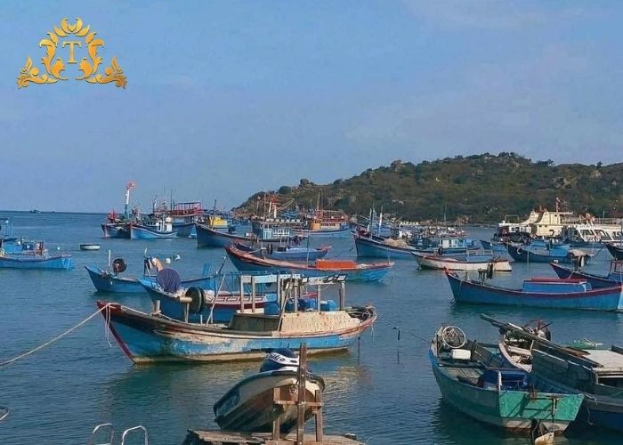 Những ưu điểm khi thuê xe limousine du lịch Vĩnh Hy từ Sài Gòn