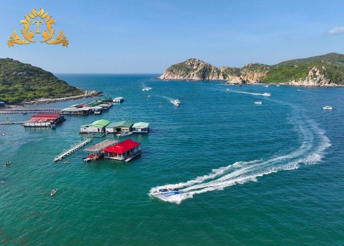 Vì sao báo giá thuê xe limousine tại Thanh Thảo luôn cạnh tranh?