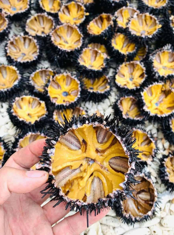 Hải sản Vĩnh Hy tươi sống