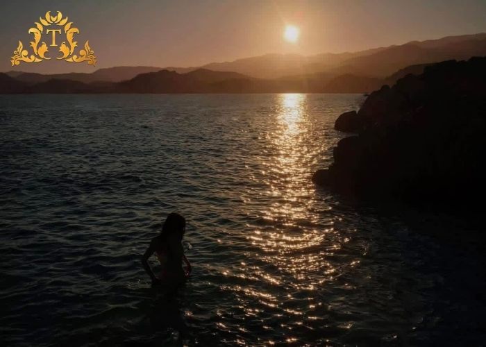 Vì sao hotline thuê xe limousine Thanh Thảo luôn được đánh giá 5 sao?