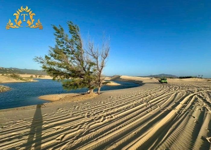 Tiết kiệm chi phí trung chuyển nhờ dịch vụ thuê xe limousine tận nơi