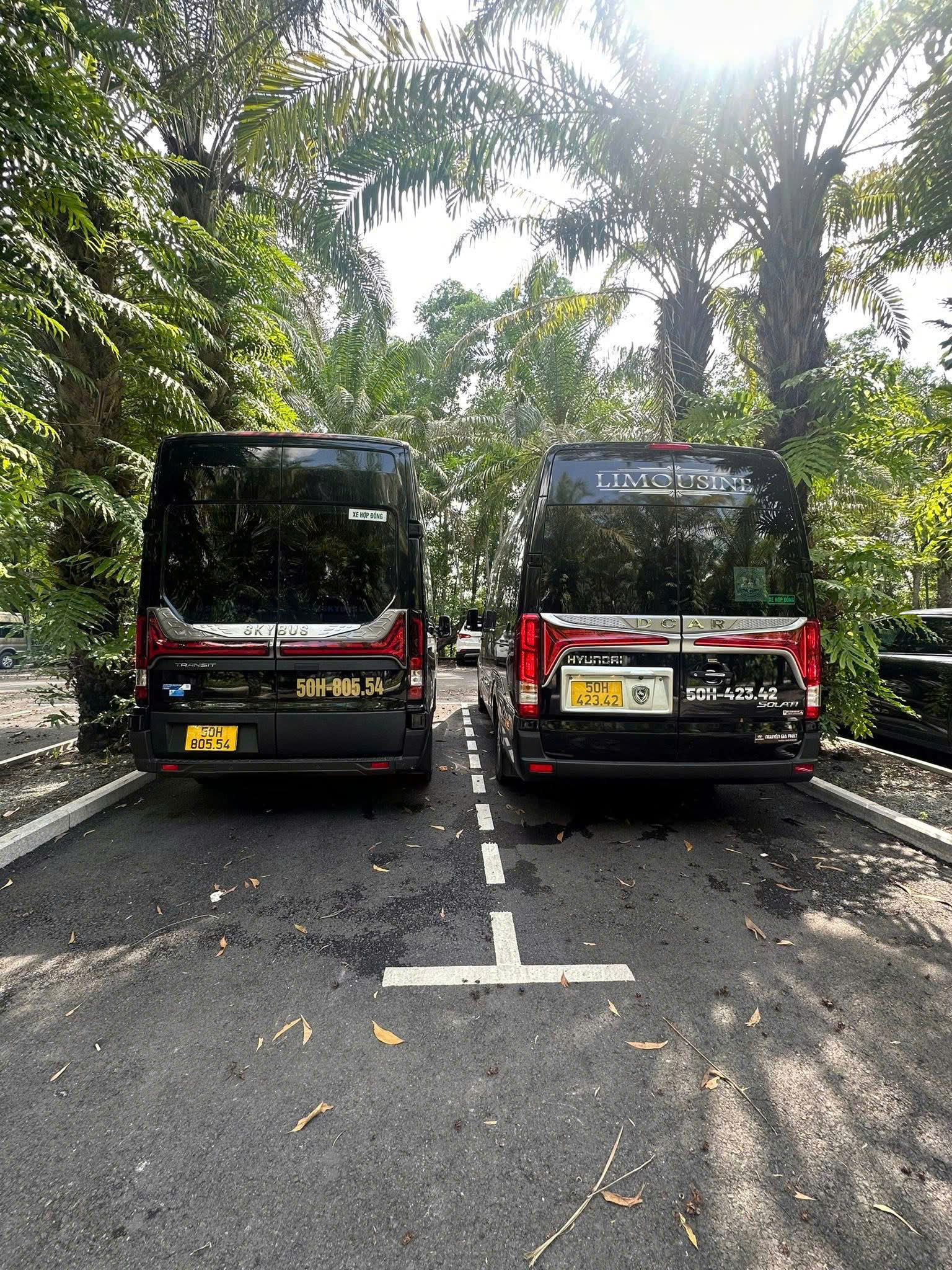 Limousine Ninh Thuận Sài Gòn đặt xe nhanh