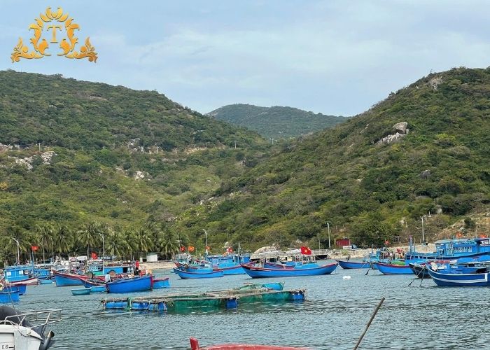 Các yếu tố cần kiểm tra sát sao khi quyết định thuê xe limousine