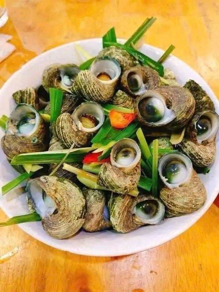 Ốc mặt trăng Vĩnh Hy