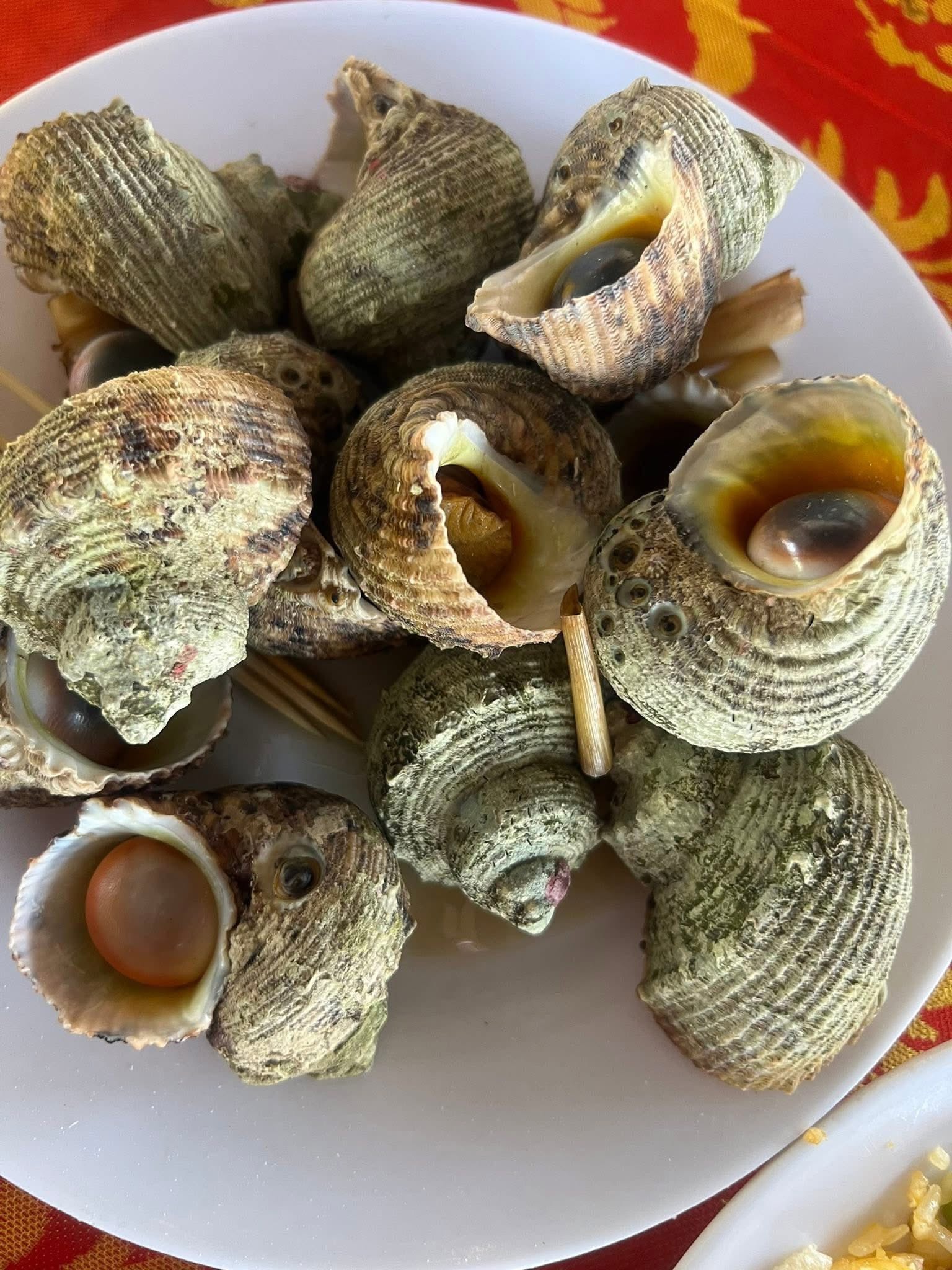 Ốc mặt trăng Vĩnh Hy