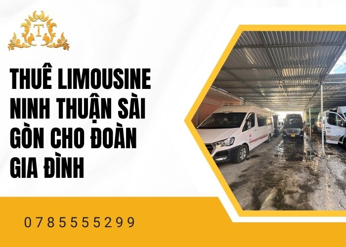Thuê limousine Ninh Thuận Sài Gòn cho đoàn gia đình