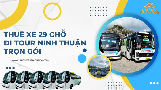 Thuê xe 29 chỗ đi tour Ninh Thuận trọn gói