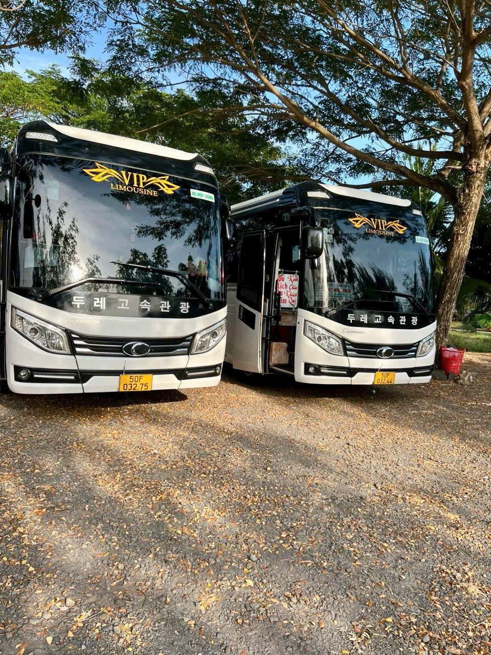 Thuê xe 29 chỗ Phan Rang cho doanh nghiệp