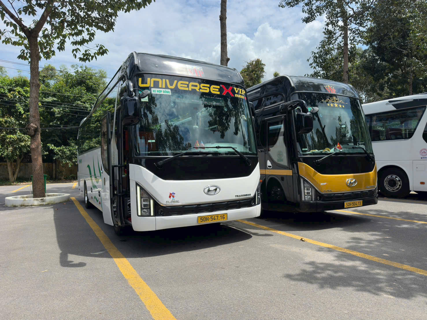 Thuê xe 29 chỗ Phan Rang cho team building