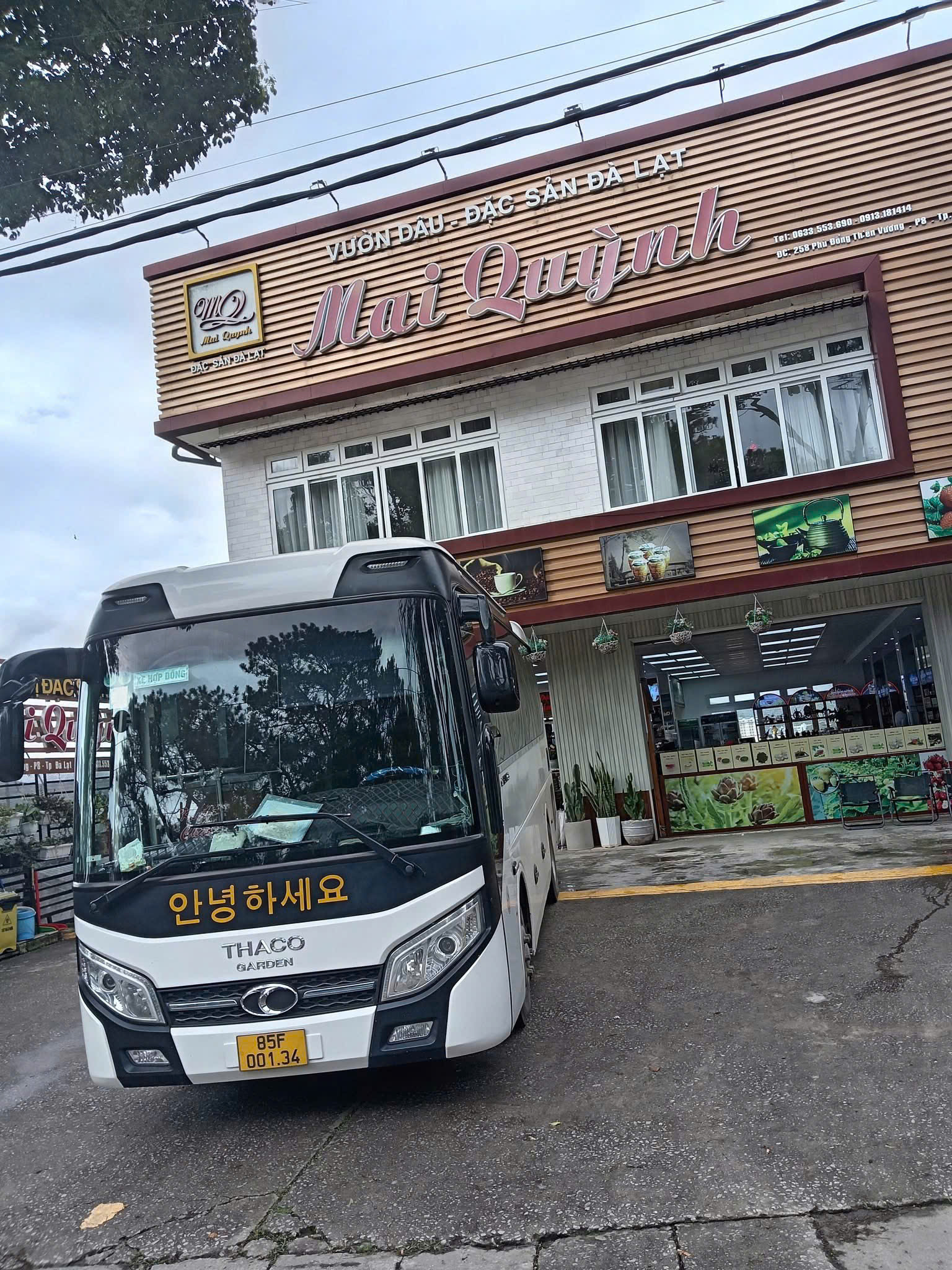 Thuê xe 29 chỗ Phan Rang đi Đà Lạt