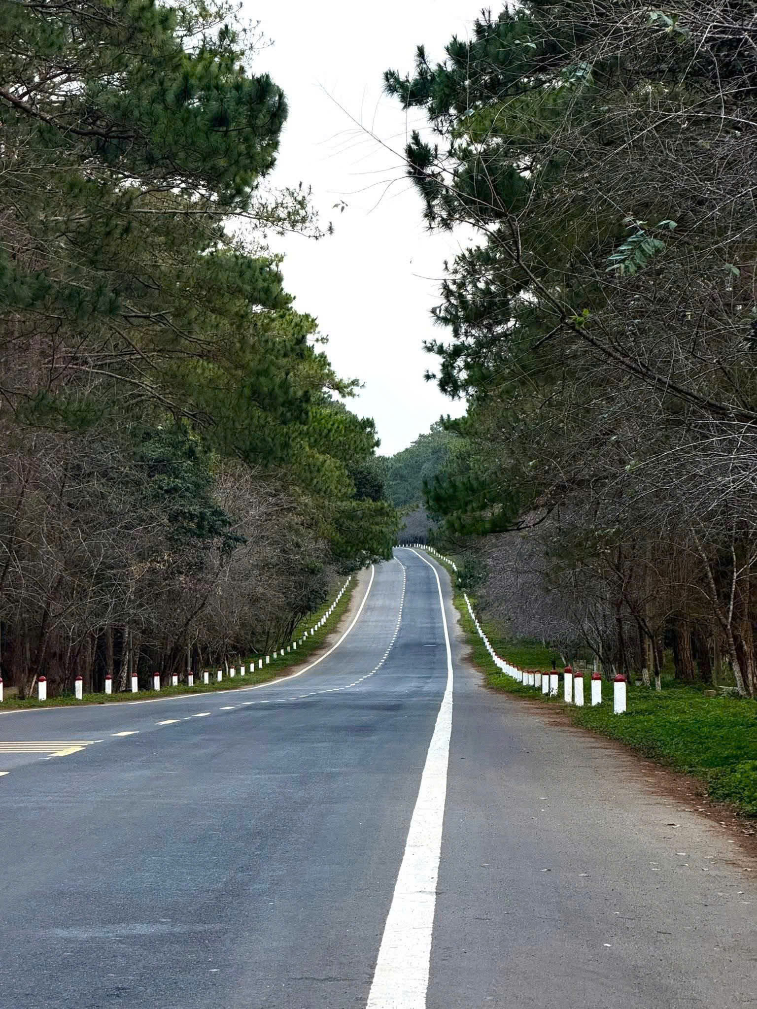 Thuê xe 29 chỗ Phan Rang đi tham quan cảnh đẹp Măng Đen