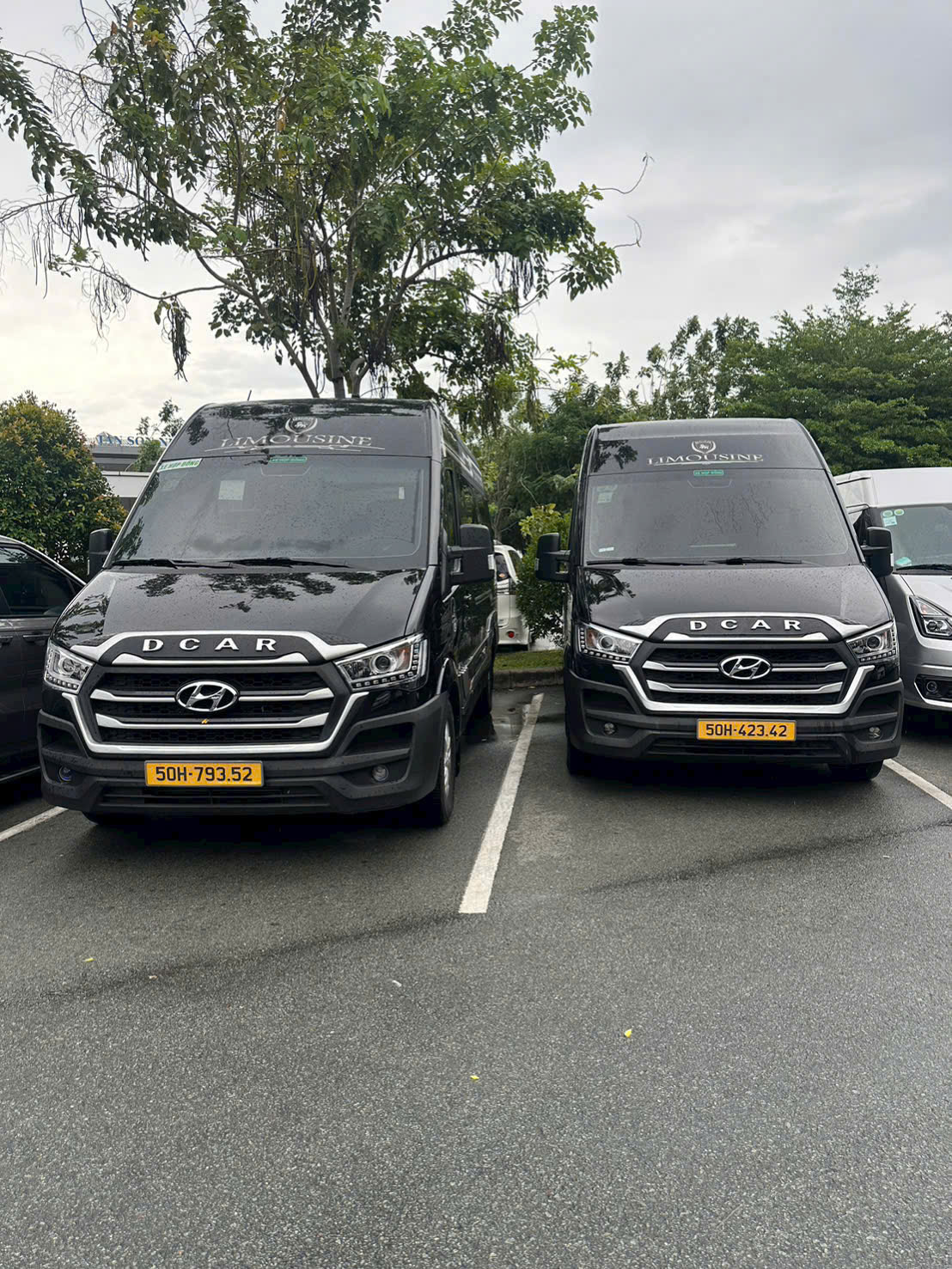 Thuê xe limousine Cam Ranh đi Sài Gòn theo yêu cầu