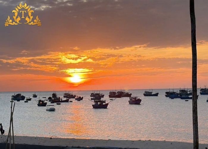 Thanh Thảo Limousine – Chuyên gia cho thuê xe limousine nghỉ dưỡng