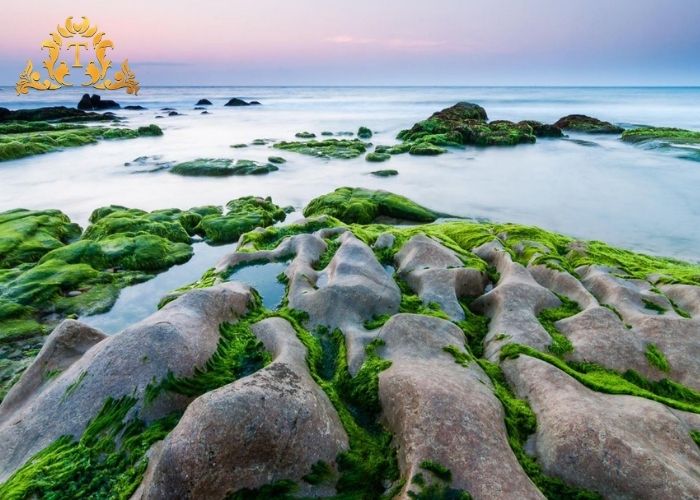 Lý do chọn thuê xe limousine chất lượng cao của Thanh Thảo