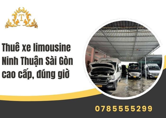 Thuê xe limousine Ninh Thuận Sài Gòn cao cấp, đúng giờ