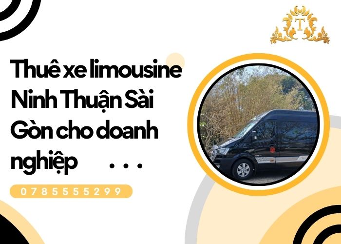 Thuê xe limousine Ninh Thuận Sài Gòn cho doanh nghiệp