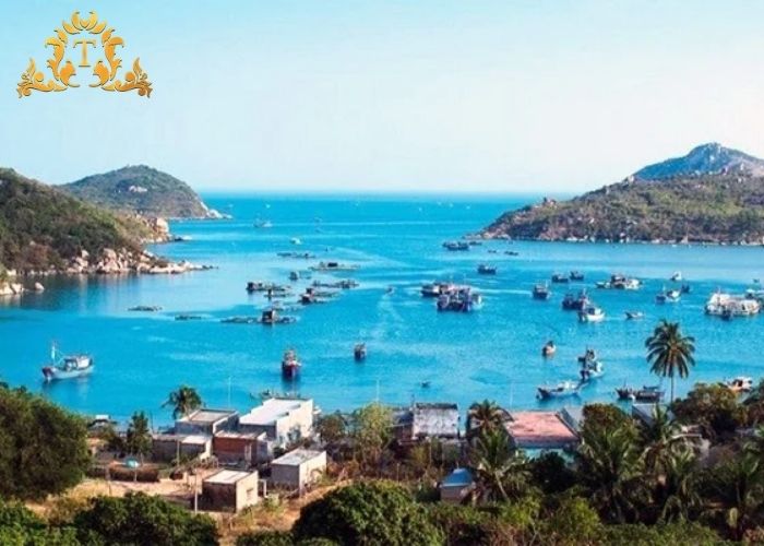 Tiện ích chu đáo đi kèm khi Thuê xe limousine Ninh Thuận Sài Gòn