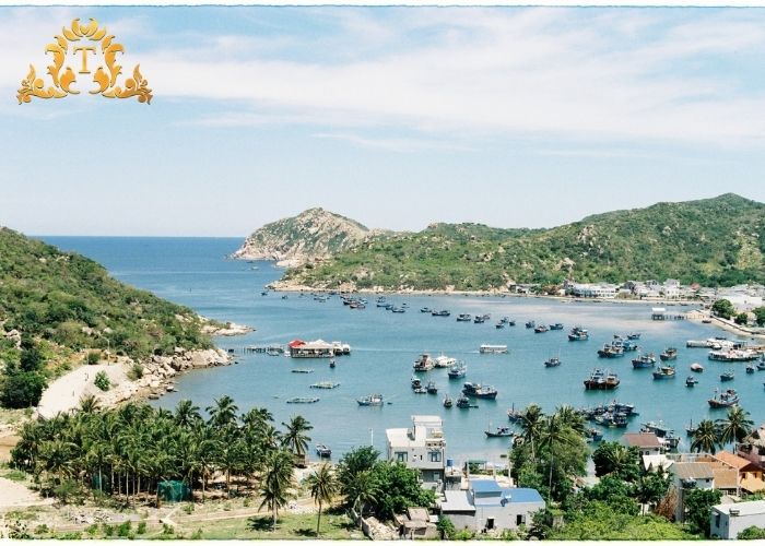 Vì sao nhà 4-7 người chuộng thuê xe limousine Thanh Thảo?