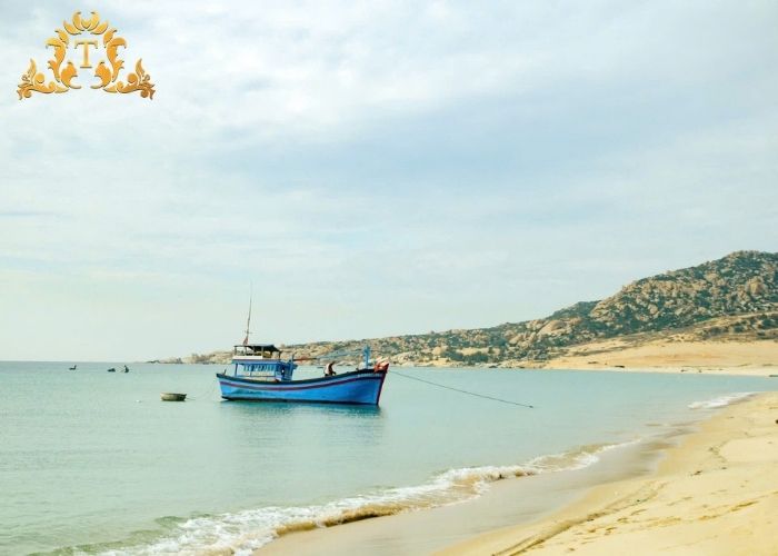 Lý do Thanh Thảo giúp bạn giảm tải khâu chuẩn bị khi thuê xe limousine