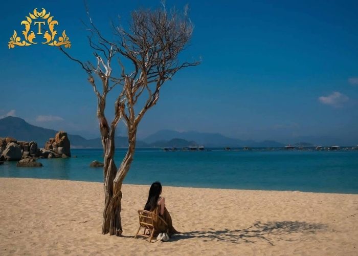 Thanh Thảo Limousine – Dịch vụ Thuê xe limousine chốt nhanh 24/7