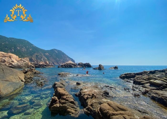 Tiện nghi hoàn hảo khi thuê xe limousine sang trọng Sài Gòn