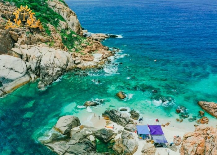 Vì sao nên chốt thuê xe limousine Thanh Thảo cho ngày cuối tuần?