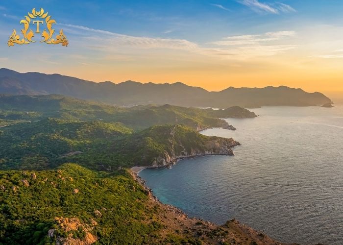 Vì sao nên chọn thuê xe limousine chất lượng cao tại Thanh Thảo?