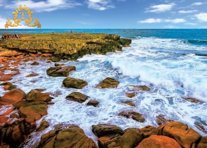 Lý do báo giá thuê xe limousine tại Thanh Thảo luôn uy tín