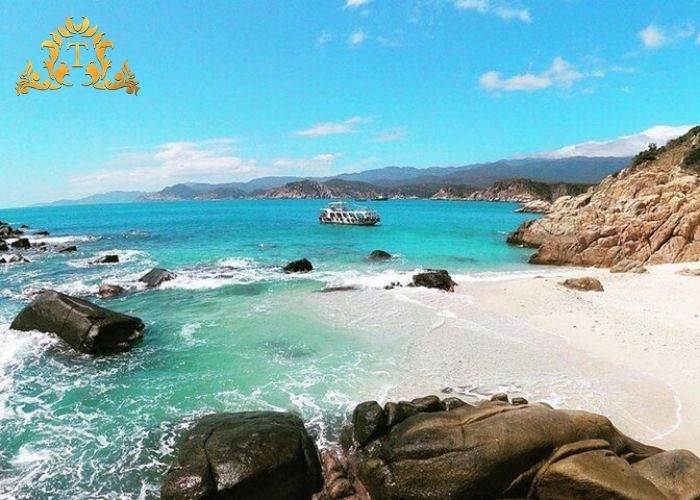 Thanh Thảo Limousine – Đơn vị cho thuê xe limousine phục vụ đoàn uy tín