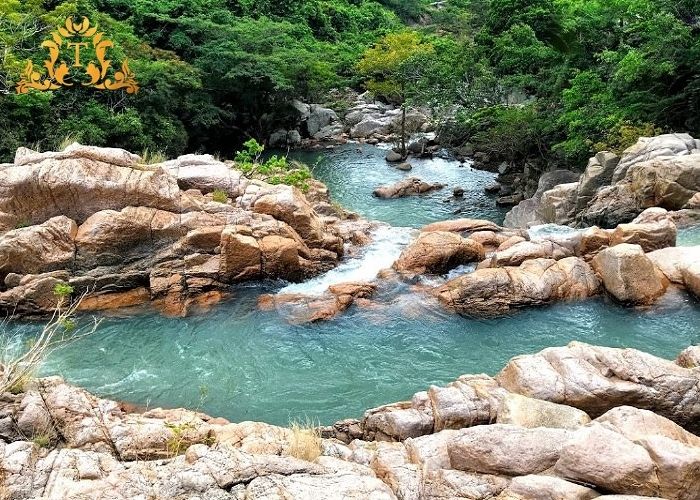 Thanh Thảo Limousine – Hãng thuê xe limousine phục vụ linh hoạt nhất