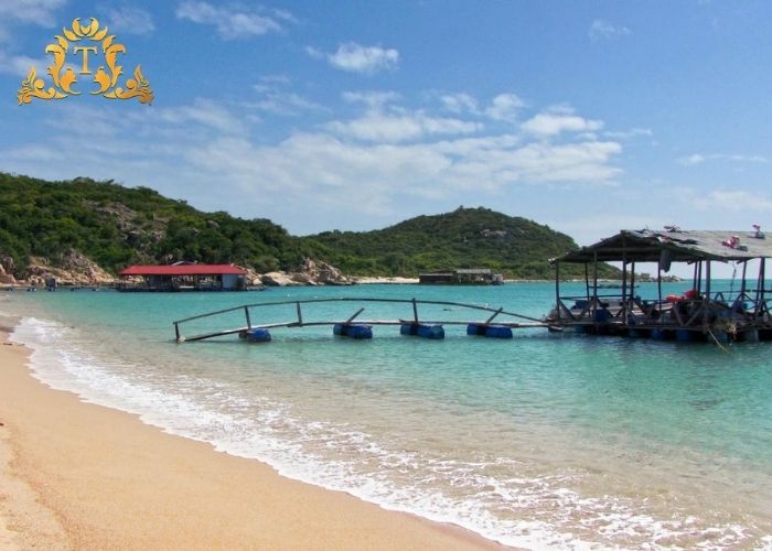 Vì sao chi phí thuê xe limousine Thanh Thảo lại vô cùng hợp lý và tiện lợi